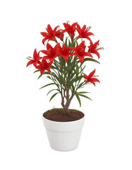 Passionate Blooms: Red Lilies in White Pot - Transparent Background Photo