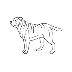 Vector hand drawn doodle sketch Shar Pei dog isolated on white background