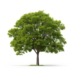 3D-Style Tree Illustration