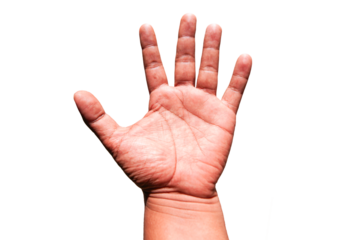 hand isolated on white background