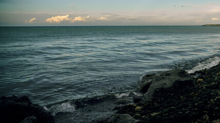 Coastline, rush hour, ham. artisanal bread. tomatoes 