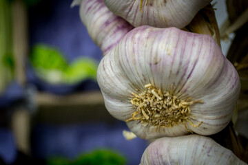 Patagonia, Argentina, Food, Pizza, Empanada, Architecture, French,  Animals in the wild, Mountains, Andes, Landscapes, Cemetary, dog

