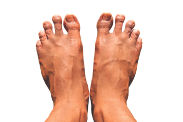 two foot isolated on white background.