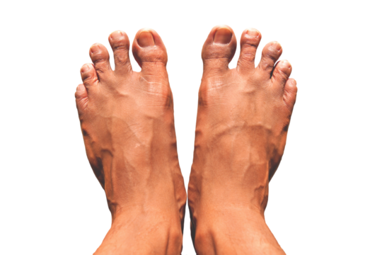 two foot isolated on white background.