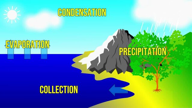 Animation of the water cycle consists of evaporation, condensation, precipitation and collection.