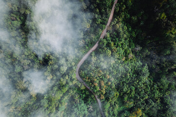 Forest road and morning fog, high angle