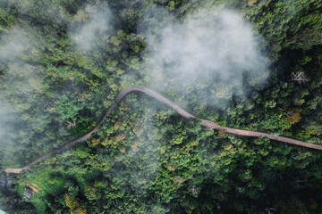Forest road and morning fog, high angle