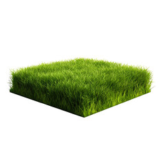 Green grass field isolated on a transparent background