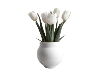 Timeless Elegance: White Tulips in White Pot - Transparent Background Photo
