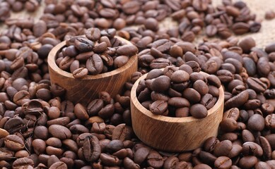 A coffee bean is a fruit from the Coffea plant and the source for coffee. It is the pip inside the red or purple fruit. 
