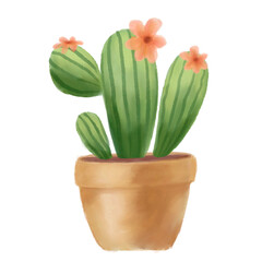 Cactus Plant Illustration