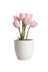 Blushing Blooms: Pink Tulips in White Pot - Transparent Background Photo