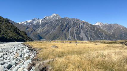 Fototapeta na wymiar The Tasman river flowing through alpine grassland in Tasman valley Mount Cook National Park
