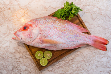 fresh fish