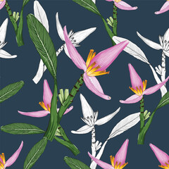Seamless pattern musa ornata flowers background.Vector illustration hand drawing.Fabric pattern print design.