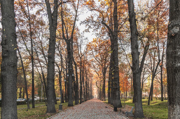 City boulevard in autumn in Bishkek. Autumn morning on a city street.street.