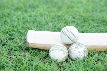 White cricket ball on wooden bat. Concept, sport equipment. Competitive sport. A cricket ball is made with a core of cork, covered by a leather case with a slightly raised sewn seam    