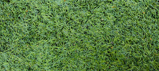 Top view of the artificial grass surface. Artificial turf of a soccer field.