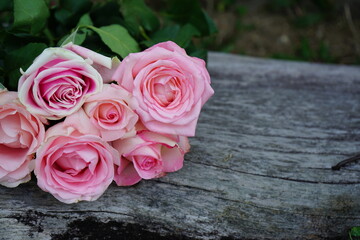 pink roses on wooden table