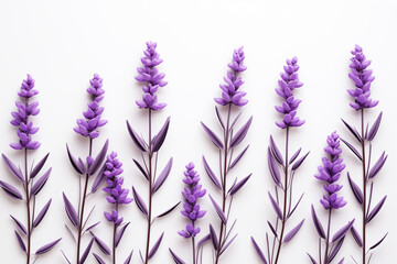 Naklejka premium sprigs of fresh lavender on a white background