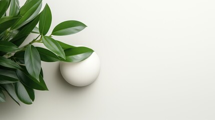  two eggs sitting on top of a white surface next to a green leafy plant on top of a white surface with a white egg in the middle of the picture.