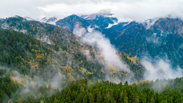 Foggy mountain landscape. Mountains covered with fog and clouds. Misty forest landscape.