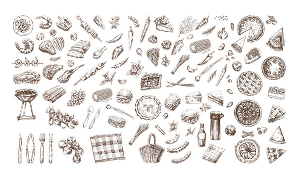 A set of hand-drawn sketches of barbecue and picnic elements. For the design of the menu of restaurants and cafes, grilled food. Doodle vintage illustration. Engraved image.