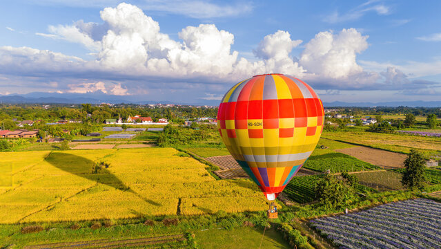 A hot air balloon lands near a rice field