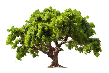 Isolated Raisin Tree on a transparent background