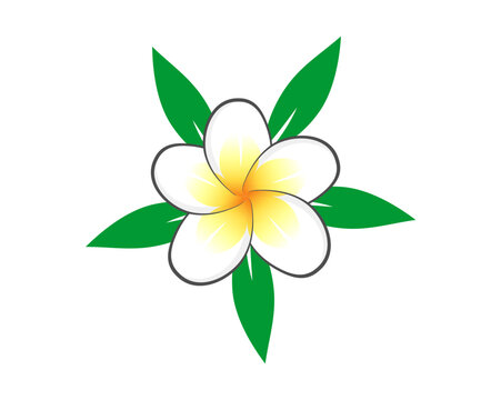 frangipani flower icon
