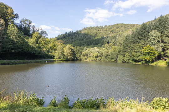 A little lake surrounded by forrested hills