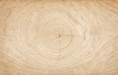 Wood ring texture background, wood planks. Grunge wood,  wooden wall pattern - obrazy, fototapety, plakaty