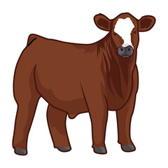 brown cattle livestock vector stock