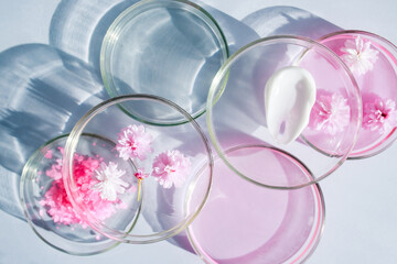 petri dishes on light background cosmetic research concept