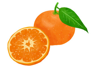 定番の果物みかん2個セット。リアルでかわいいタッチ。(葉付き+カット断面)