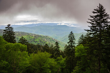 An Overlook on a Moody Day at the Great Smoky Mountains National Park in North Carolina