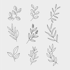 Line Leaf flower abstract background