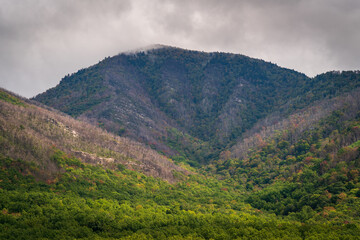 The Great Smoky Mountains National Park
