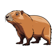 Capybara animal in cartoon style on transparent background, Capybara Stiker design