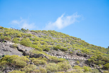 Masca Gorge on Tenerife