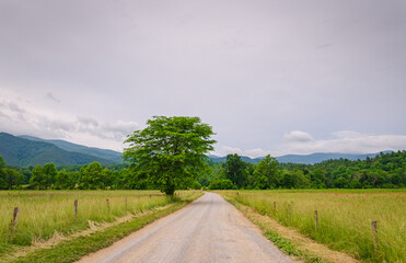 The Smoky Mountains Cades Cove Loop Gatlinburg, TN
