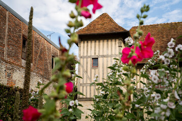 Traditional house in Normandy summer and flowers