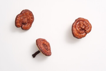 Against the white background, three ganoderma mushrooms displayed. Blank space for design and text. Ganoderma lucidum is known as an extremely good detoxifies for the liver