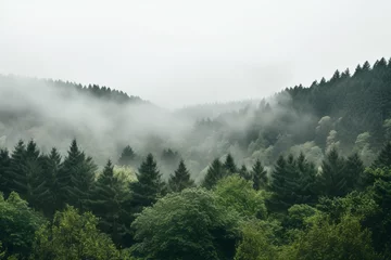 Zelfklevend Fotobehang A misty landscape seamlessly transitions into a thick forest, with addition of hovering clouds enhancing enchanting atmosphere, highlighting interaction between wooded terrain and atmospheric elements © AnieBell