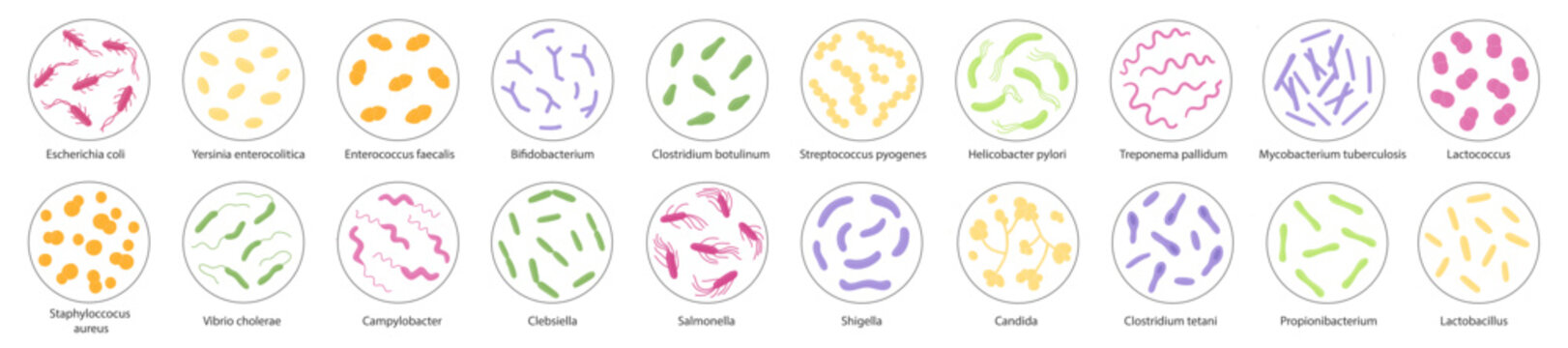Set of bacteria in a magnifying glass. Vector illustration in doodle style