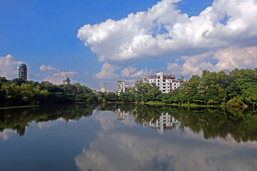 Fototapeta na wymiar Landscape view of a beautiful lake with a bridge in the bottanical garden dhaka bangladesh 