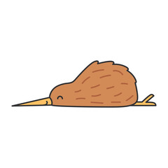 Kiwi vector illustration. Isolated kiwi on white background.