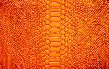 Fotobehang Beautiful yellow, gold bright snake or crocodile skin, reptile skin texture, multicolored close-up as a background. © Vera