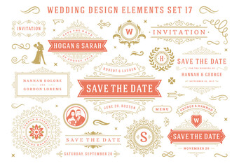 Vintage wedding and valentines day decorative ornament design elements set vector illustration