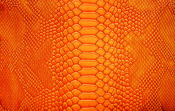 Beautiful yellow, gold bright snake or crocodile skin, reptile skin texture, multicolored close-up as a background.